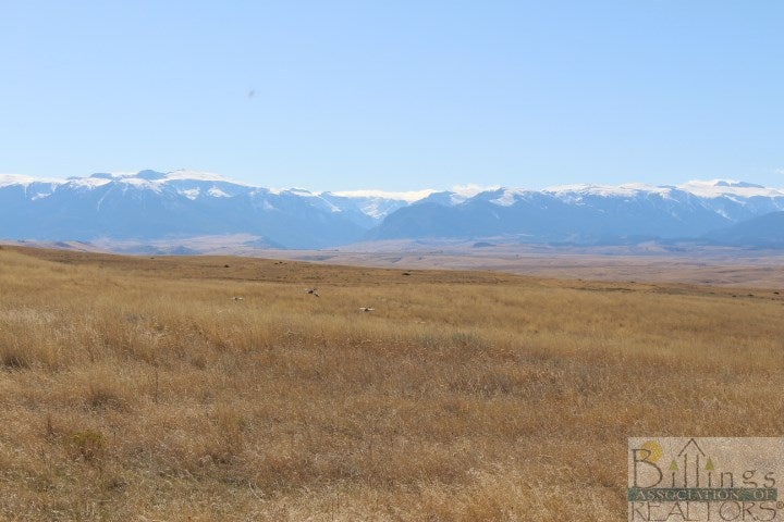 Beaver Beaver Creek Ranch Absarokee, MT 59001 - Photo 1 of 1 Gallery Image 1