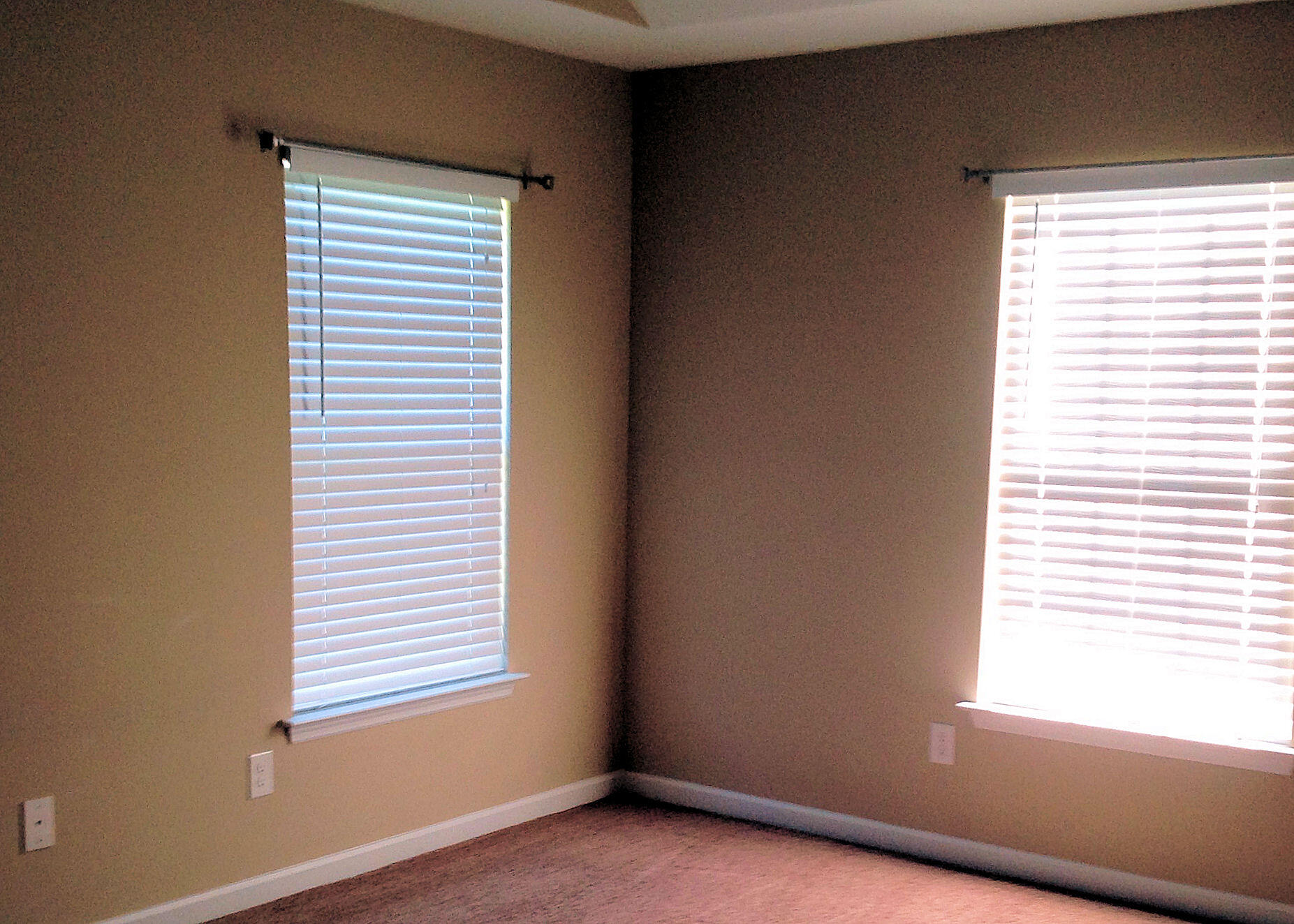 264 Lynbrook Way Grovetown, GA 30813 - Photo 7 of 10 MAster Has multiple windows and much light.