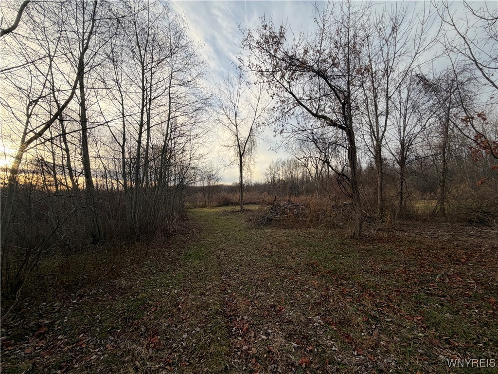 2026 Harris Road Carlton, NY 14571 - Photo 11 of 24