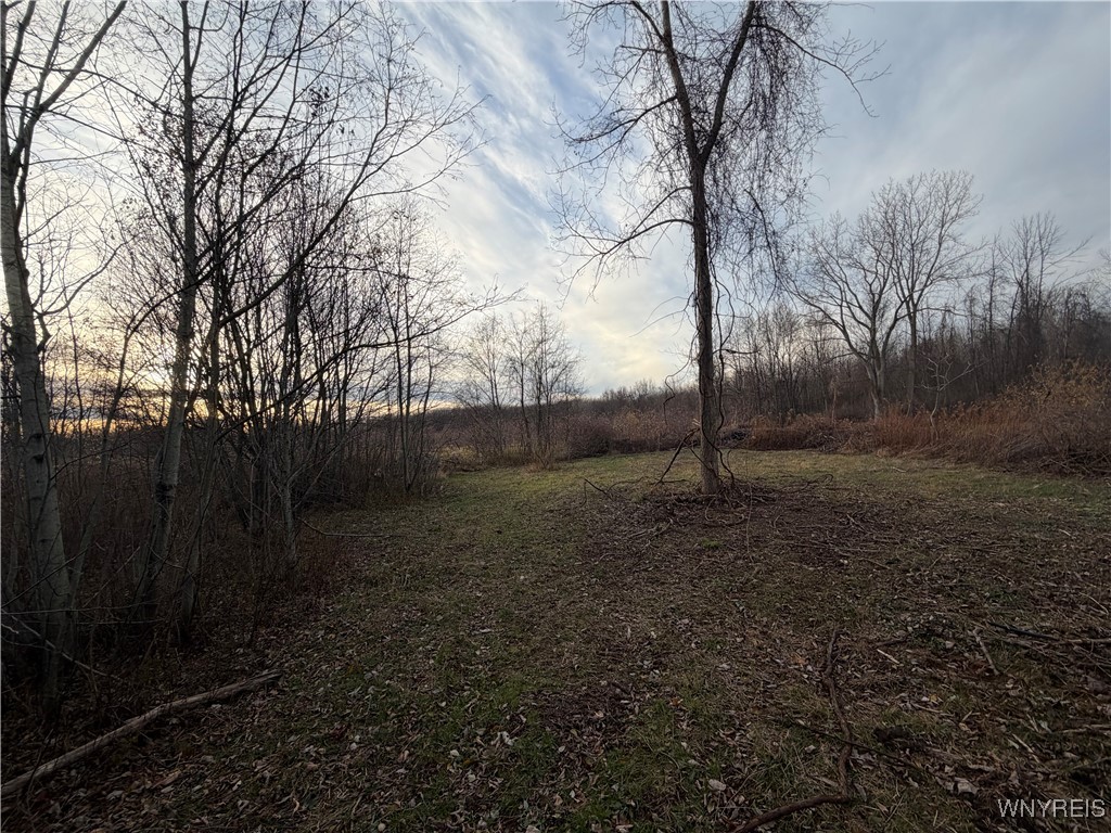 2026 Harris Road Carlton, NY 14571 - Photo 12 of 24