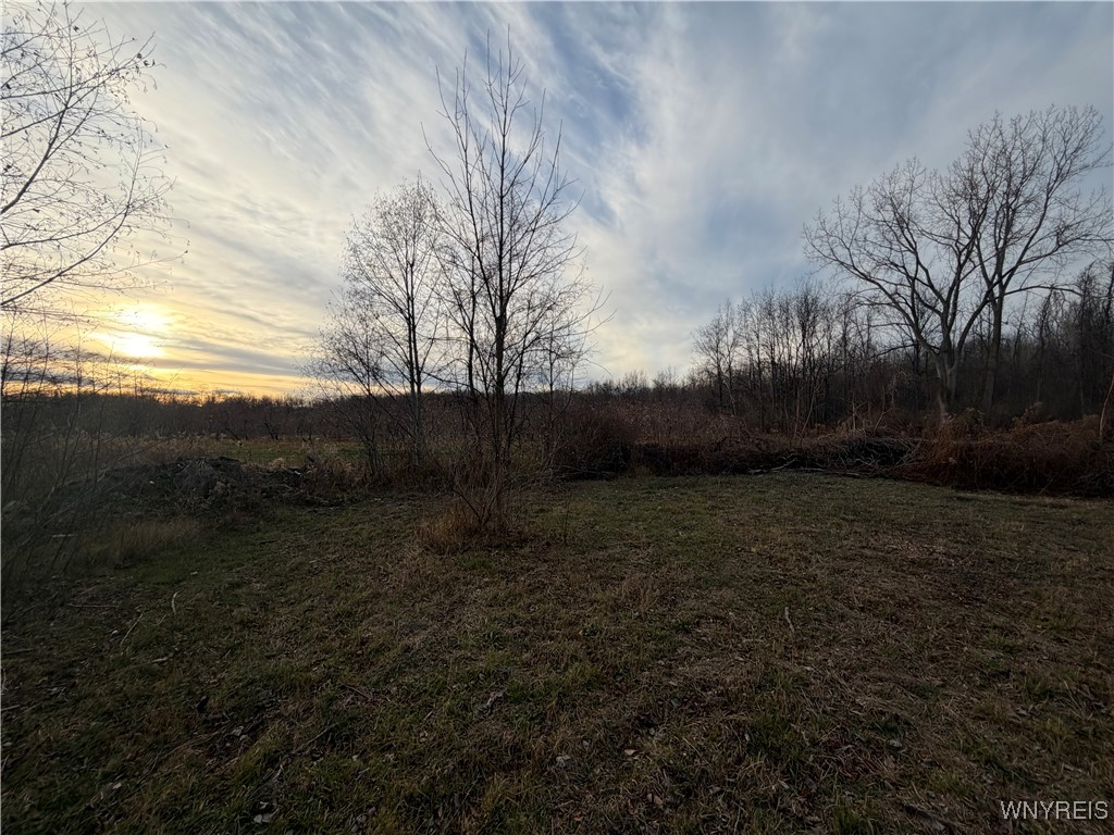 2026 Harris Road Carlton, NY 14571 - Photo 13 of 24