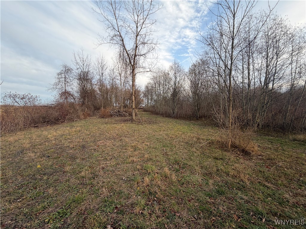 2026 Harris Road Carlton, NY 14571 - Photo 14 of 24