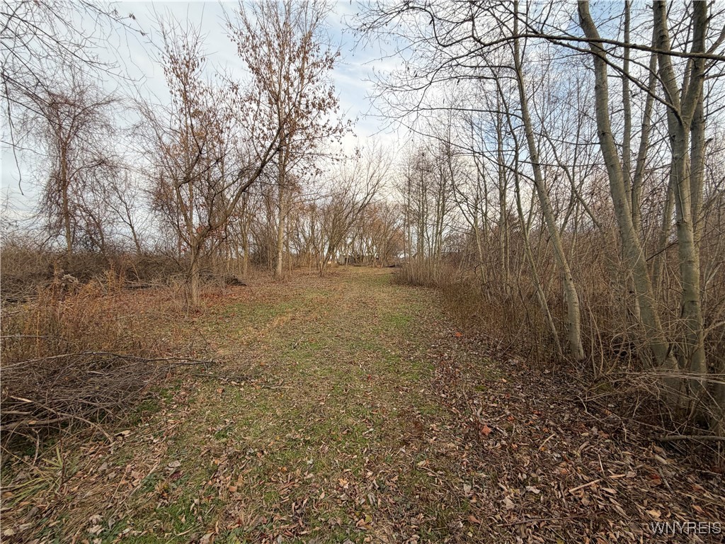 2026 Harris Road Carlton, NY 14571 - Photo 15 of 24