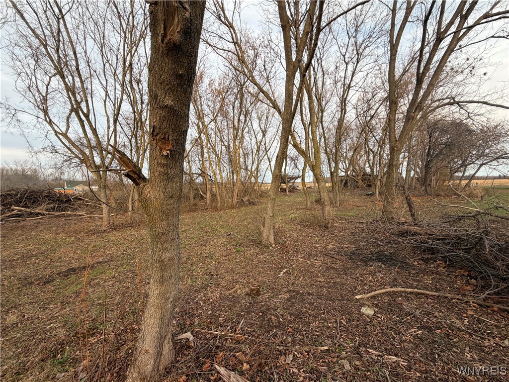 2026 Harris Road Carlton, NY 14571 - Photo 16 of 24