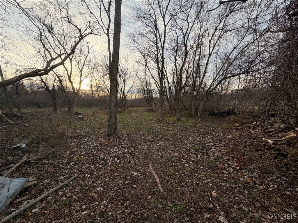 2026 Harris Road Carlton, NY 14571 - Photo 7 of 24