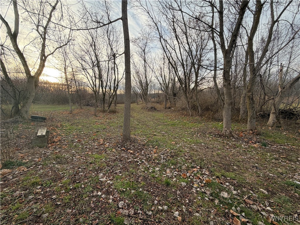 2026 Harris Road Carlton, NY 14571 - Photo 8 of 24