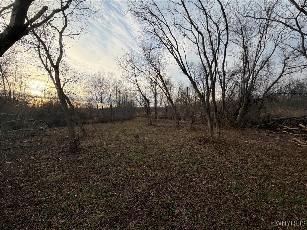 2026 Harris Road Carlton, NY 14571 - Photo 9 of 24