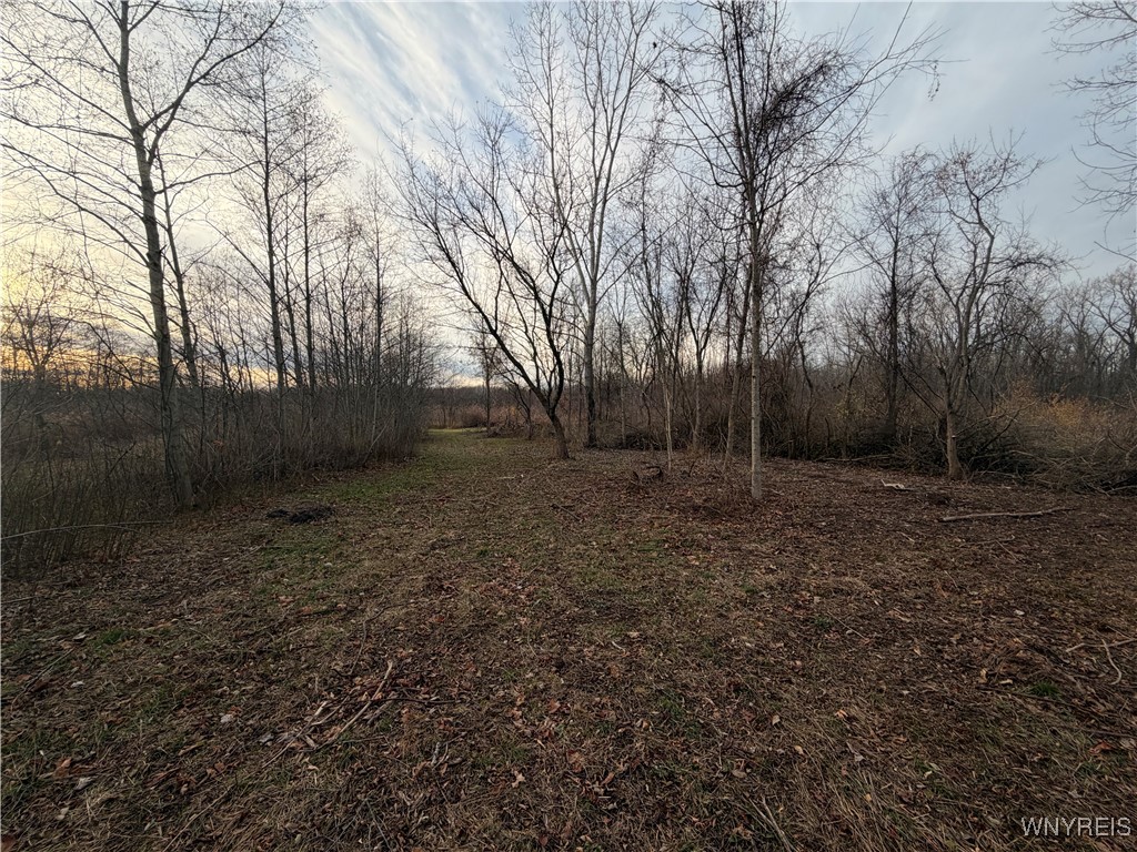 2026 Harris Road Carlton, NY 14571 - Photo 10 of 24