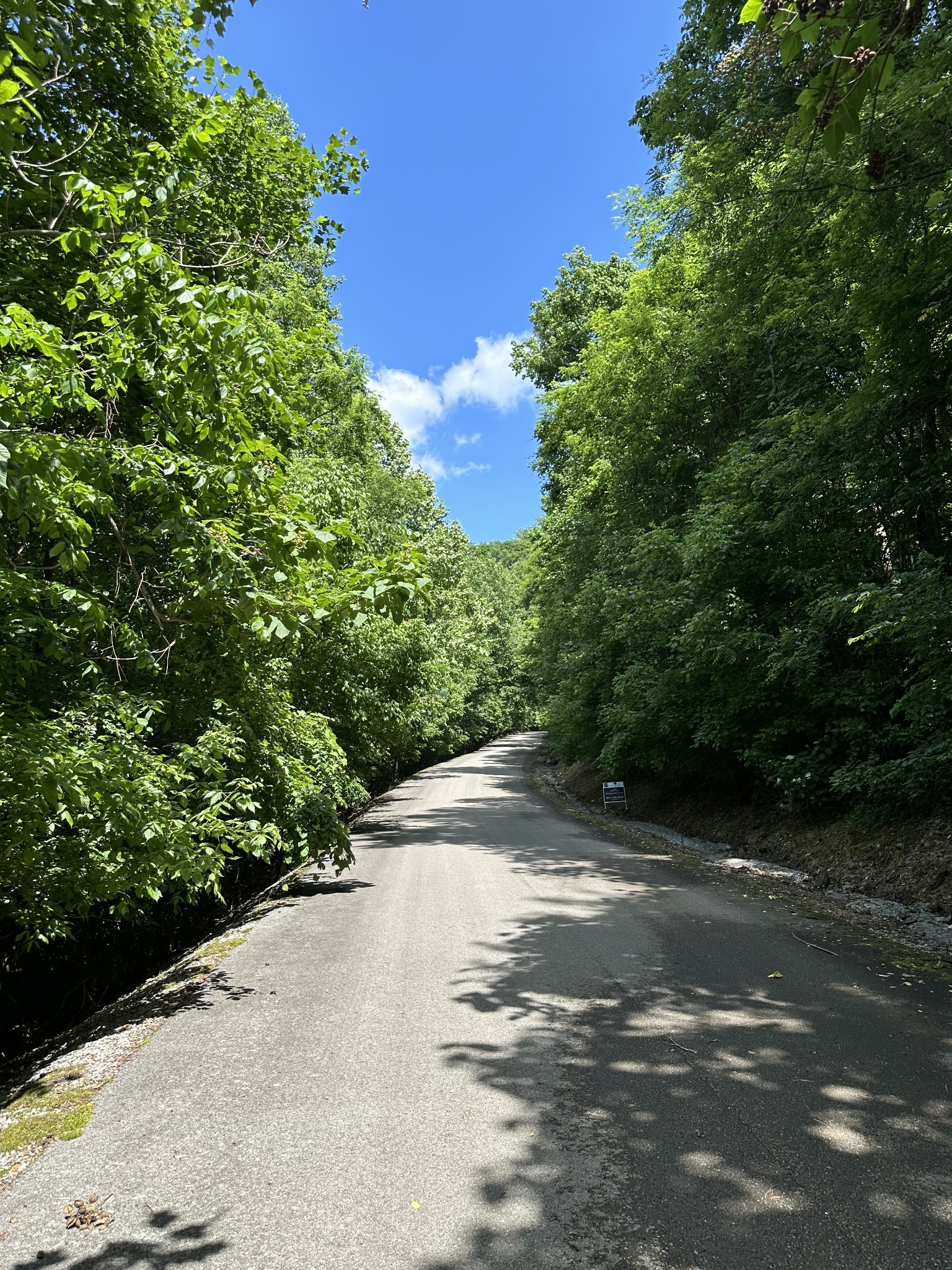 a view of a street with a yard