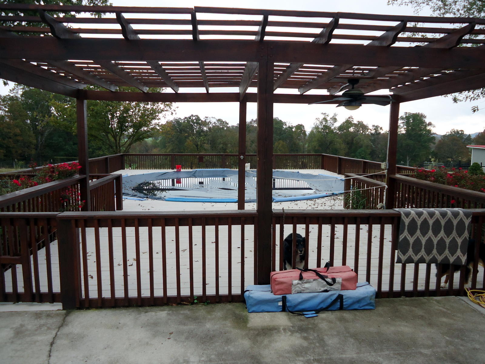251 Povo Road Madisonville, TN 37354 - Photo 25 of 40 25-DSC00369