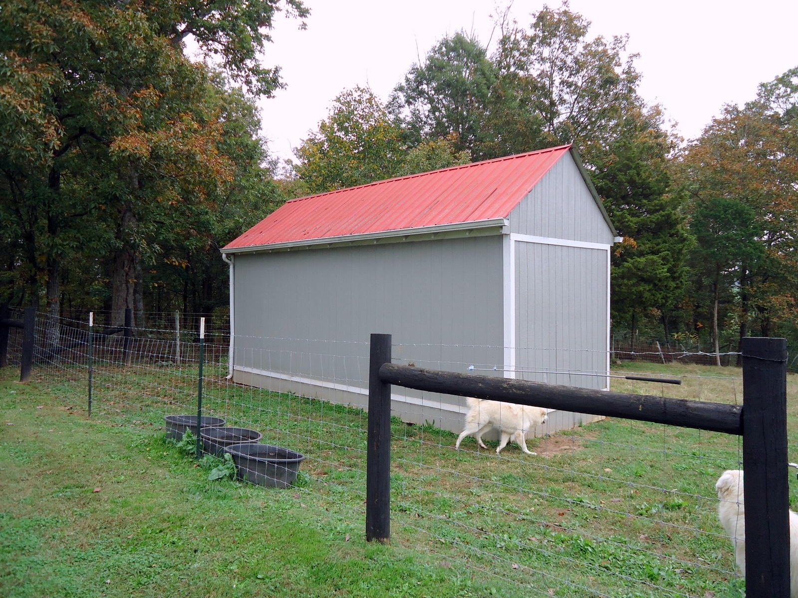 251 Povo Road Madisonville, TN 37354 - Photo 28 of 40 28-DSC00352