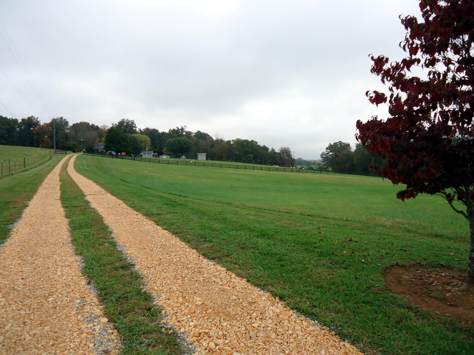 251 Povo Road Madisonville, TN 37354 - Photo 40 of 40 40-DSC00329