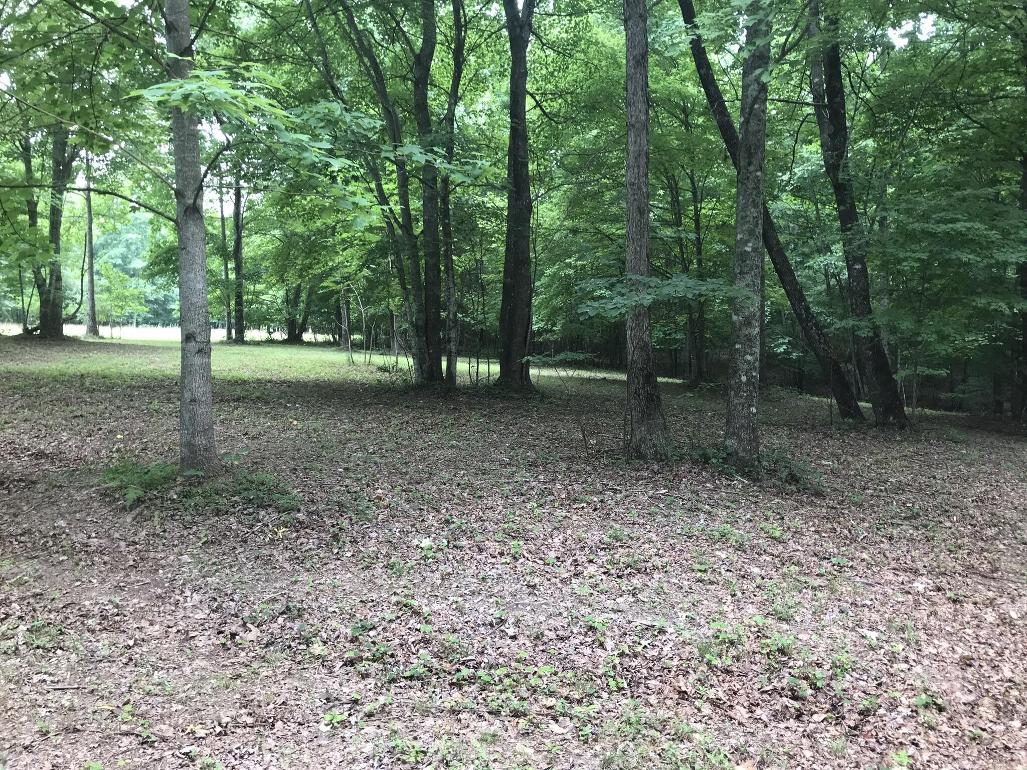 503 Wilderness Way Dunlap, TN 37327 - Photo 2 of 22