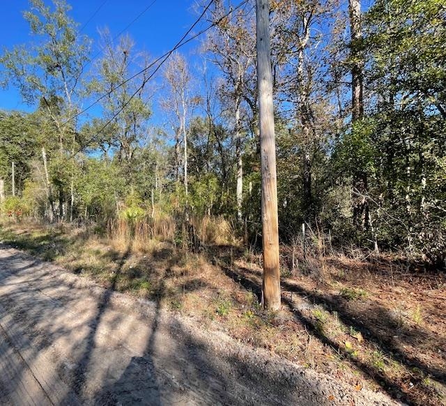 Choctaw Road Crawfordville, FL 32327 - Photo 2 of 3