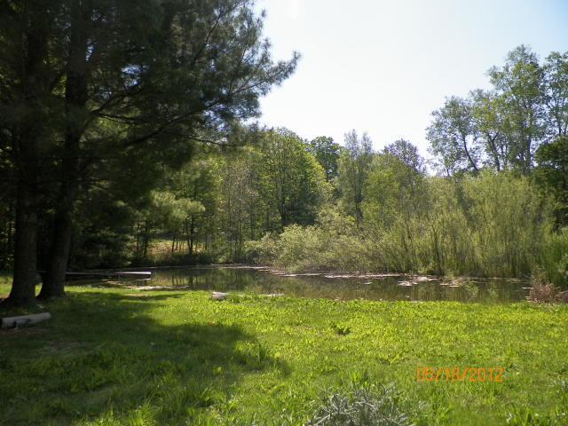 11480 Erwin Road Copemish, MI 49625 - Photo 4 of 4 Additional Photo