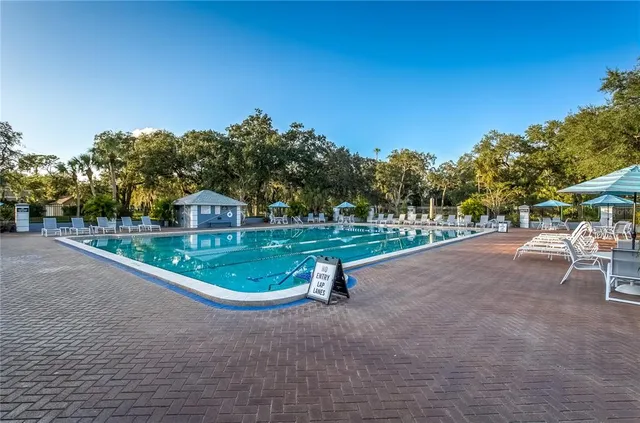 a view of a park with large trees