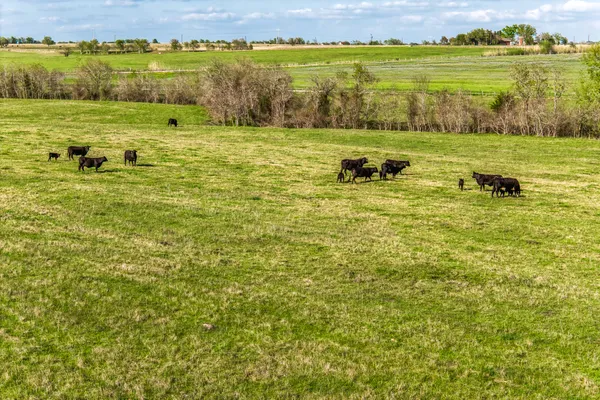 $857,500 | 50 St Brenham Tx 77833, Brenham, TX 77833