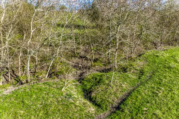 $857,500 | 50 St Brenham Tx 77833, Brenham, TX 77833