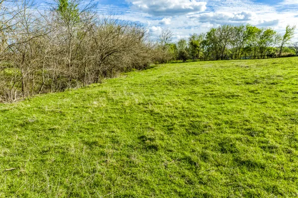 $857,500 | 50 St Brenham Tx 77833, Brenham, TX 77833