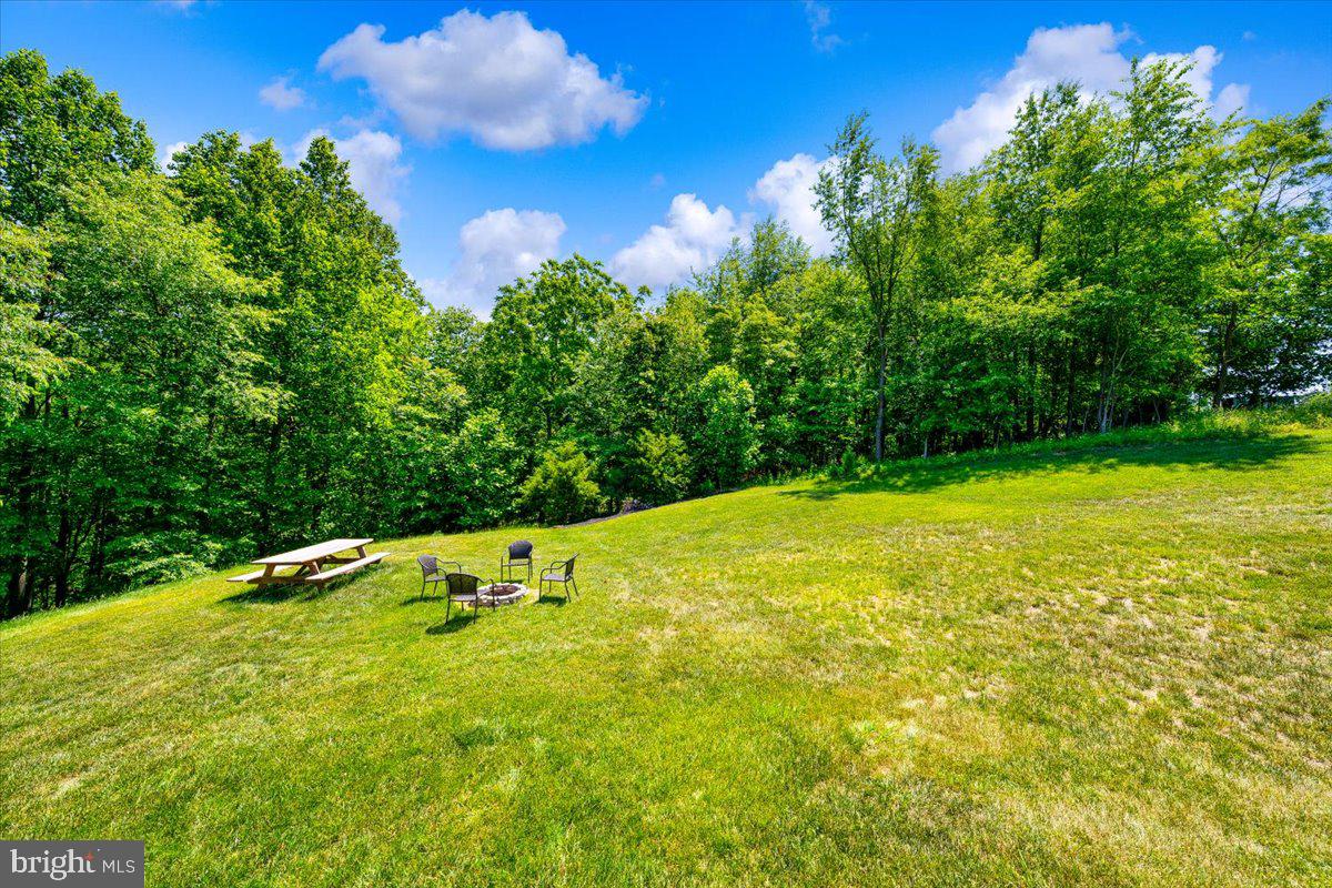 11283 Dublin Road Woodsboro, MD 21798 - Photo 18 of 68 Tranquil backyard