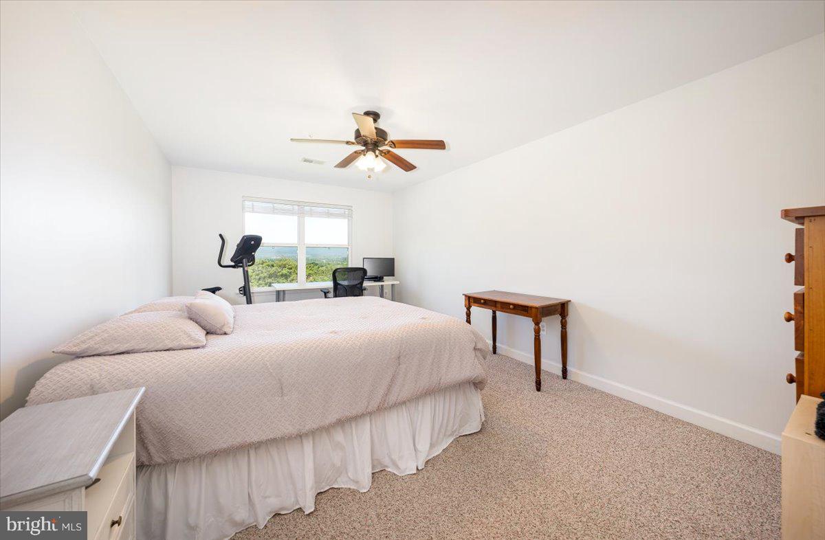 11283 Dublin Road Woodsboro, MD 21798 - Photo 48 of 68 3rd Bedroom