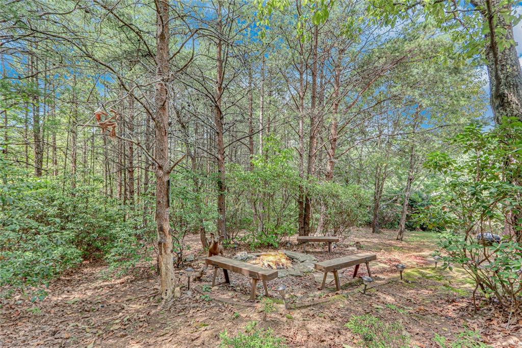 482 Monroe Ridge Road Sautee Nacoochee, GA 30571 - Photo 4 of 40