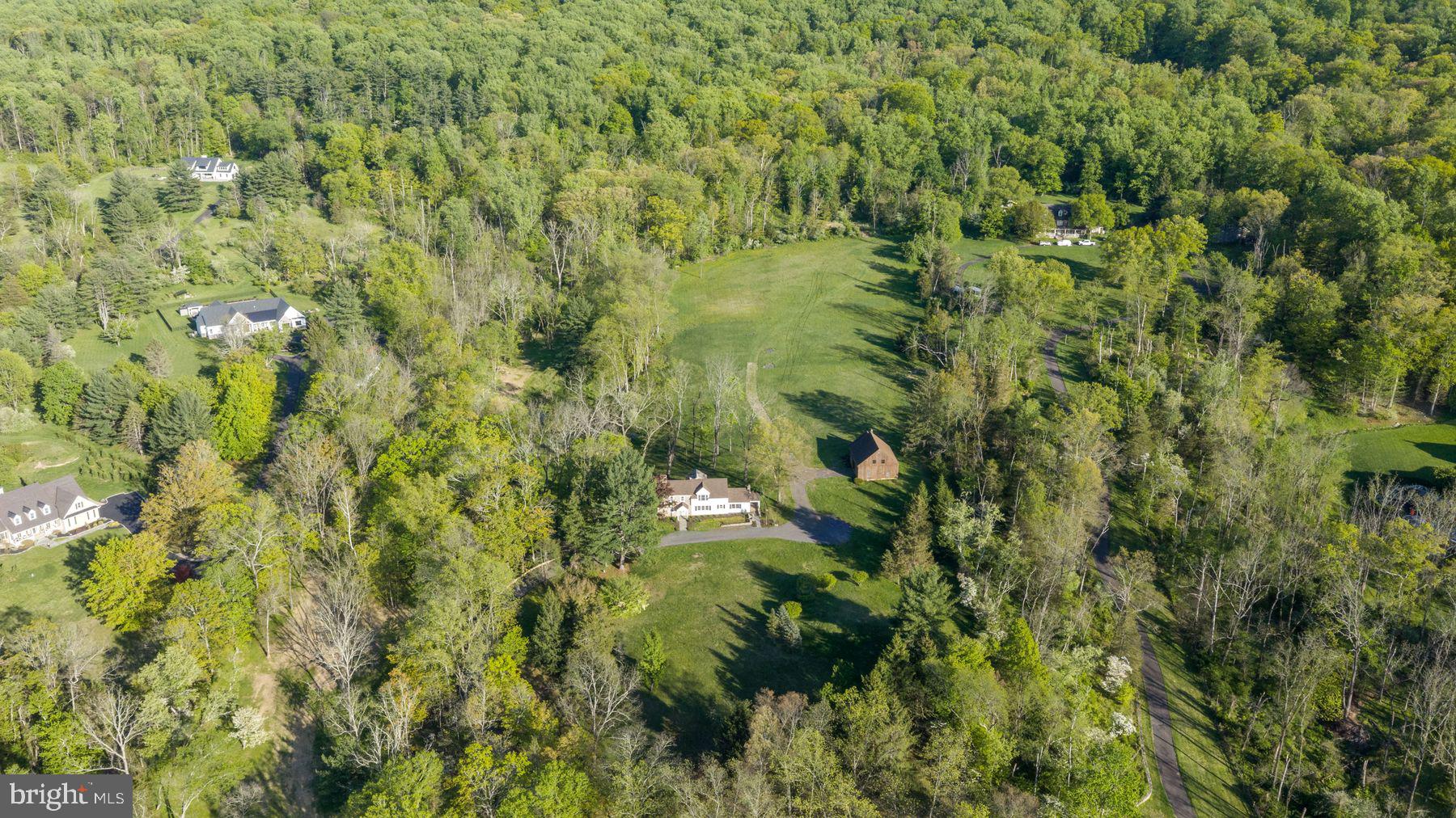 324 Thompson Mill Road New Hope, PA 18938 - Photo 3 of 23 a view of a lush green forest