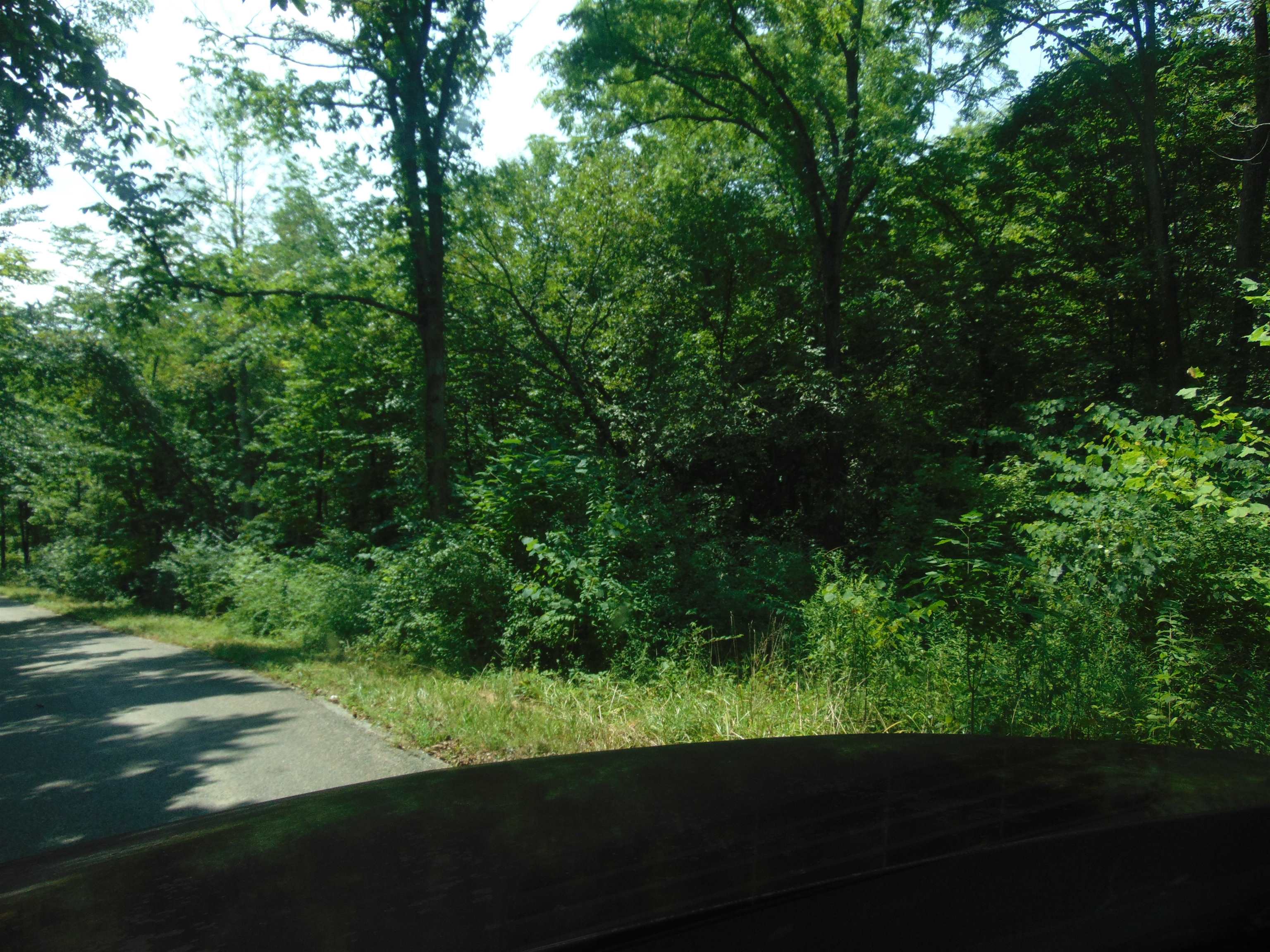 0 Tick Ridge Road Olive Hill, KY 41164 - Photo 2 of 5