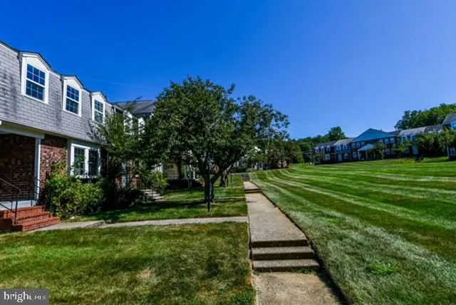 a view of park with plants and trees