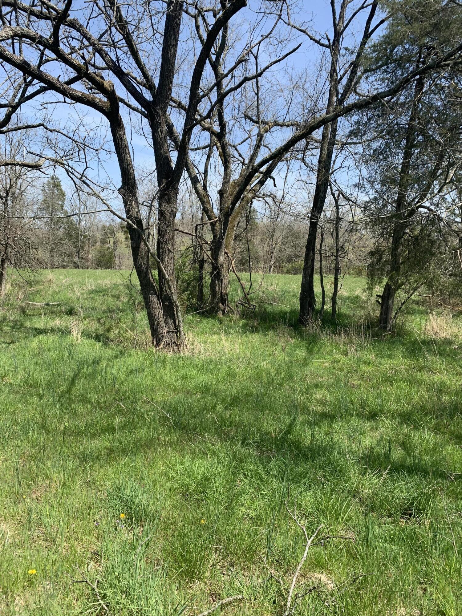 1000 Britton Road Harrodsburg, KY 40330 - Photo 73 of 88 95C978D7-30DB-4032-BC83-64182F498179