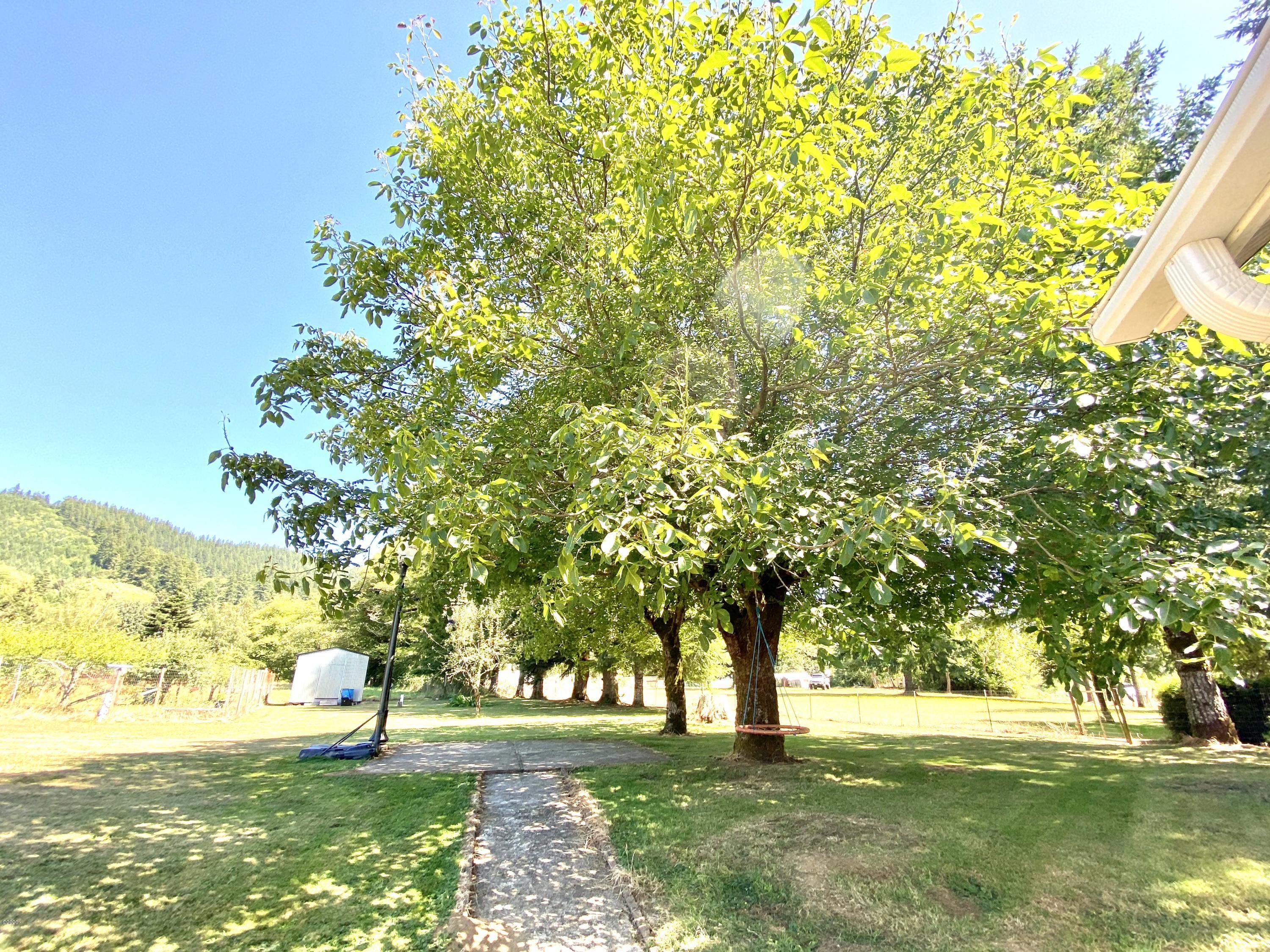 33985 Highway 22 Hebo, OR 97122 - Photo 22 of 40 Basketball Court