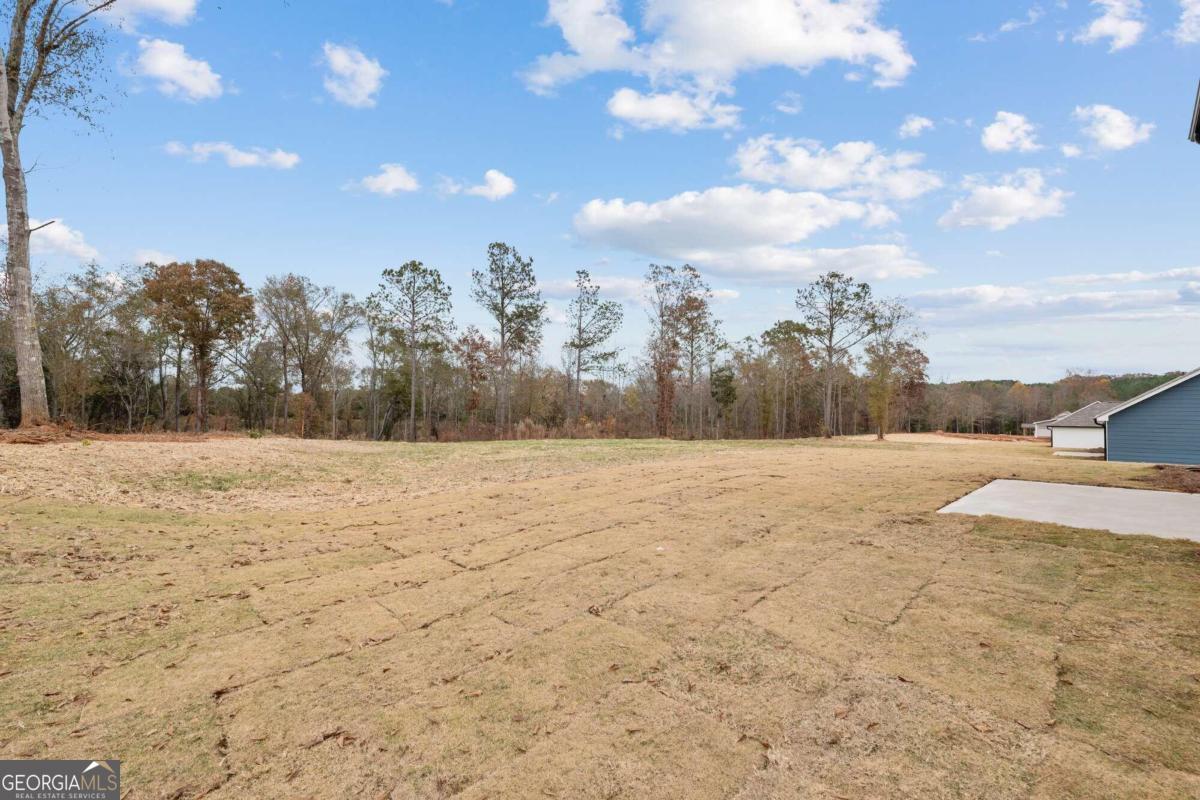 32 Joseph Lane Hartwell, GA 30643 - Photo 37 of 38