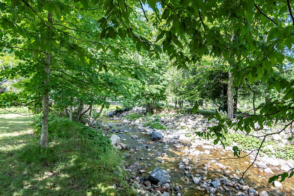 46 St Huberts Road Keene Valley, NY 12943 - Photo 11 of 12 Gallery Image 11
