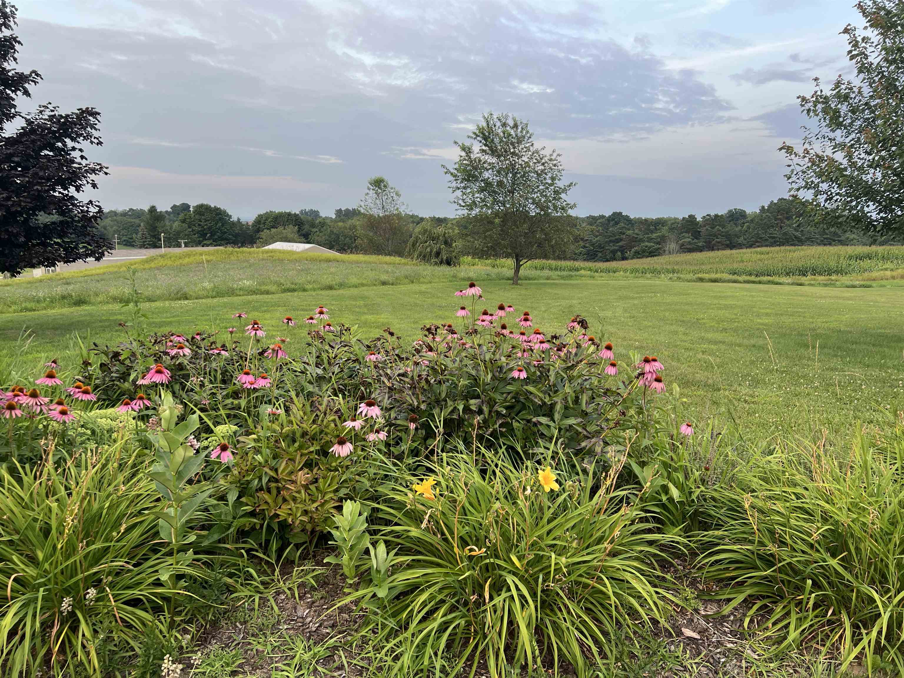8281 Hibma Road Marion, MI 49665 - Photo 63 of 98 1932429-f3c429ac-3a55-46ae-a7a8-d9e5425f7511.JPG