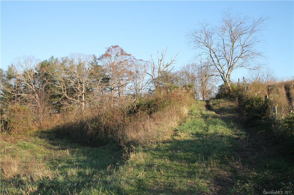 9999 Johnny Roberts Road Alexander, NC 28701 - Photo 2 of 12 Gallery Image 2