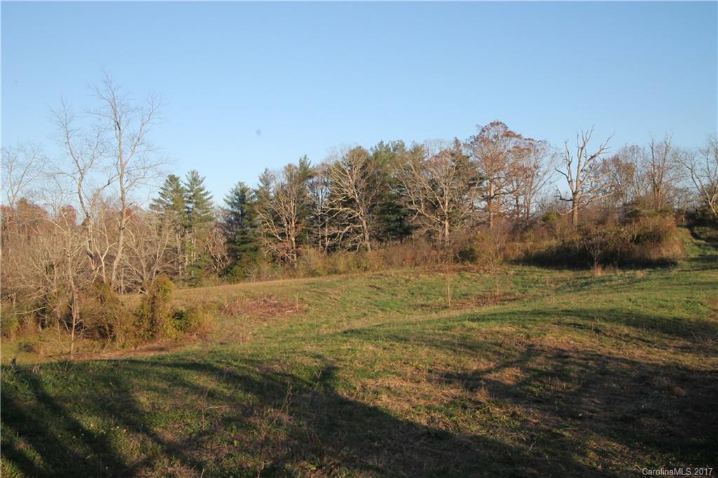 9999 Johnny Roberts Road Alexander, NC 28701 - Photo 3 of 12 Gallery Image 3