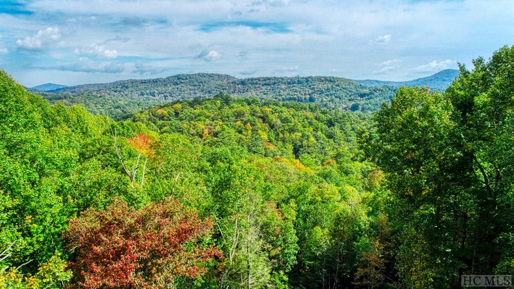 Off Jack Wilcox Road Highlands, NC 28741 - Photo 2 of 25 Gallery Image 2