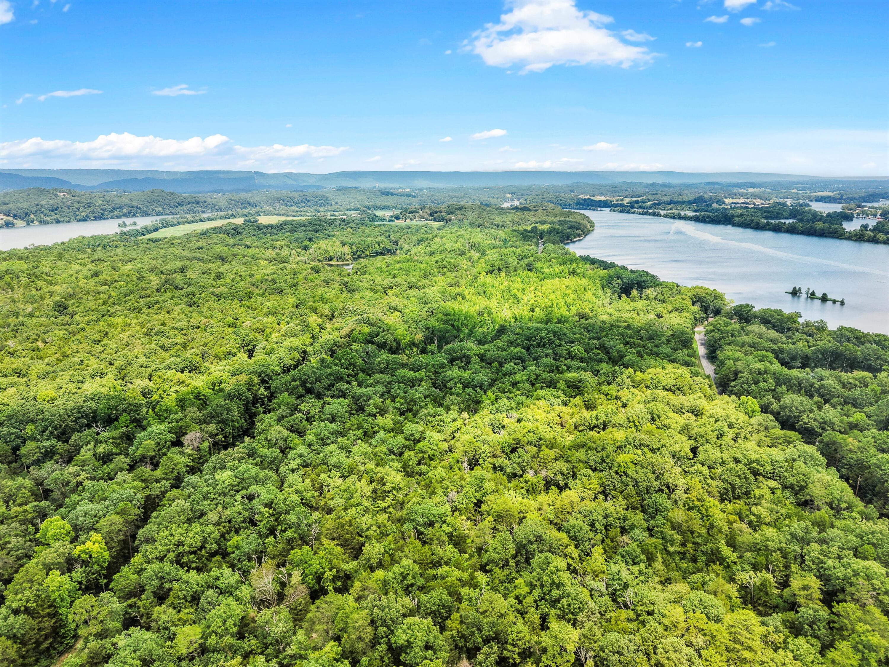 Lot 31 Armstrong Ferry Road Decatur, TN 37322 - Photo 11 of 12 13-DJI_20250723130720_0308_D