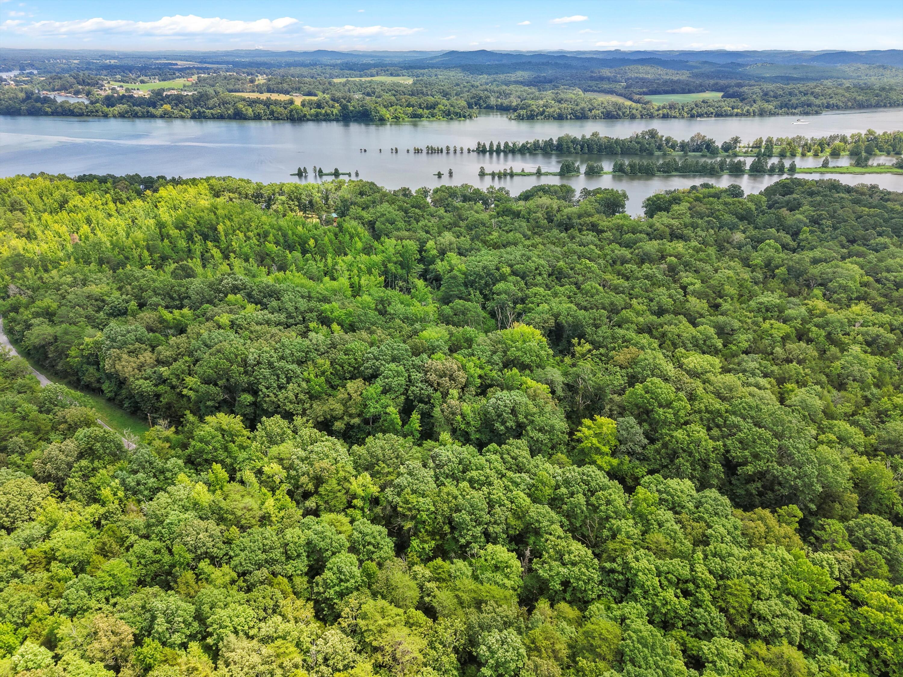Lot 31 Armstrong Ferry Road Decatur, TN 37322 - Photo 4 of 12 04-DJI_20250723125426_0261_D
