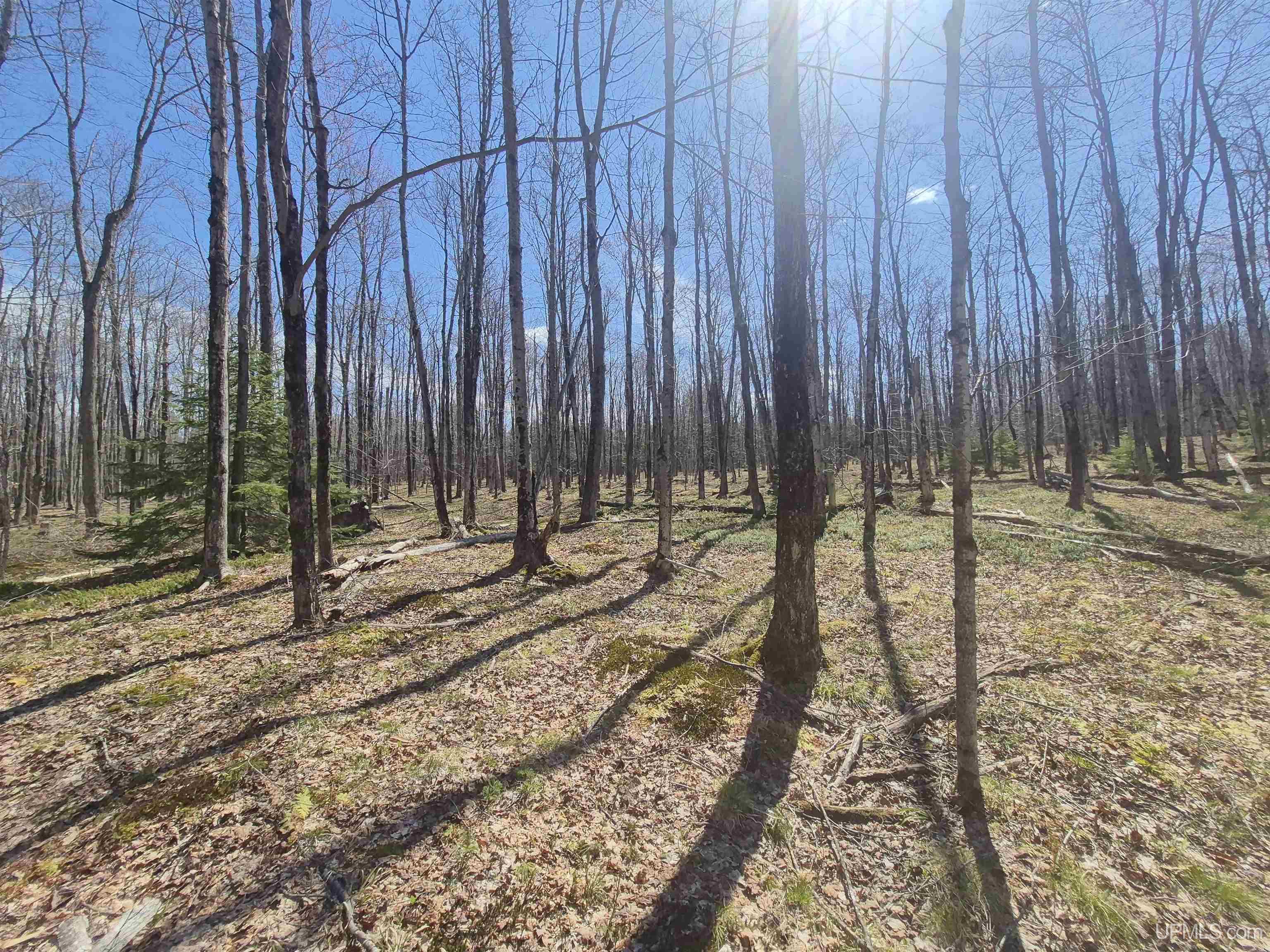 12-acres Salmon Road L'Anse, MI 49946 - Photo 30 of 39