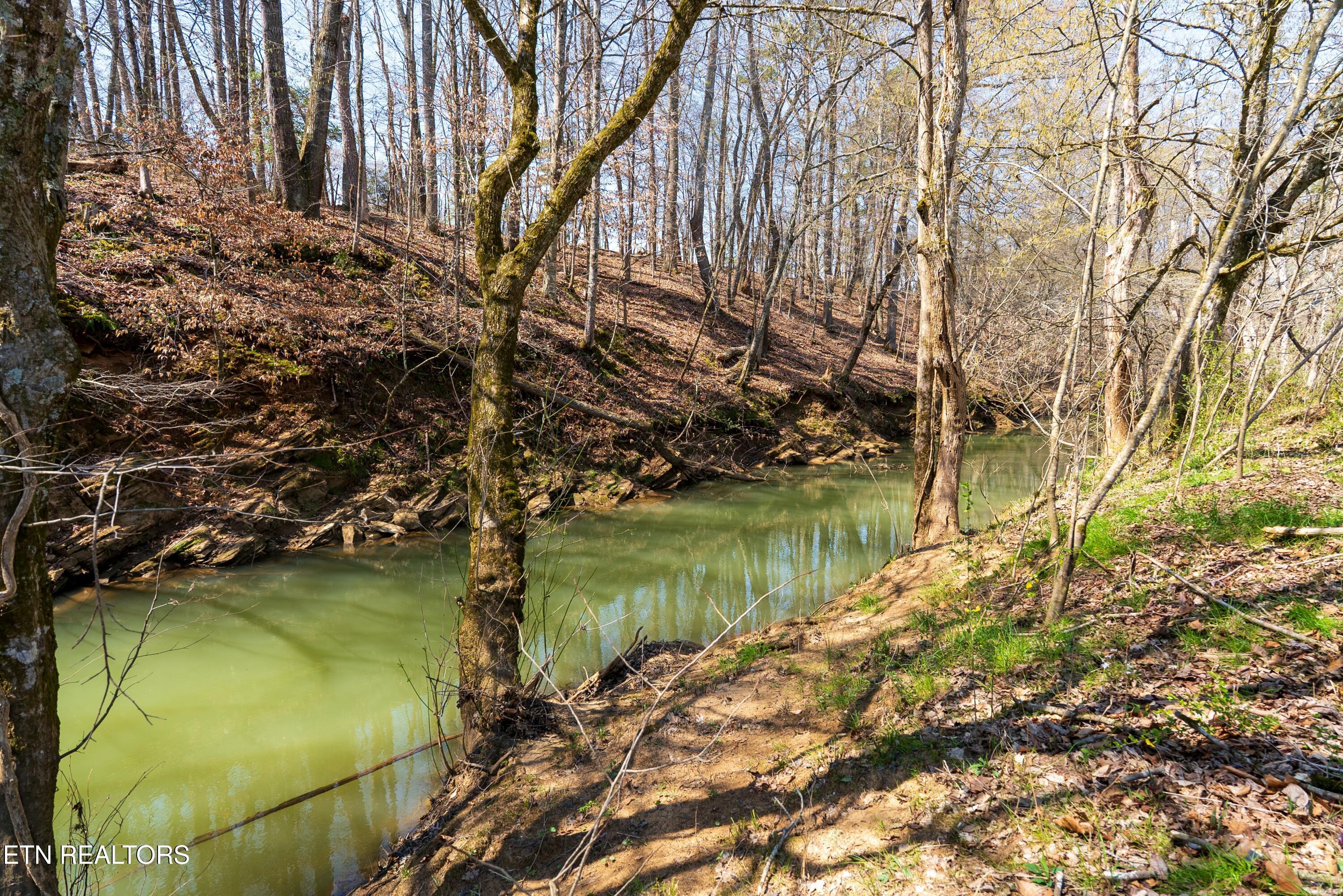 1413 Trigonia Road Maryville, TN 37801 - Photo 3 of 4 tempImagez66SeB