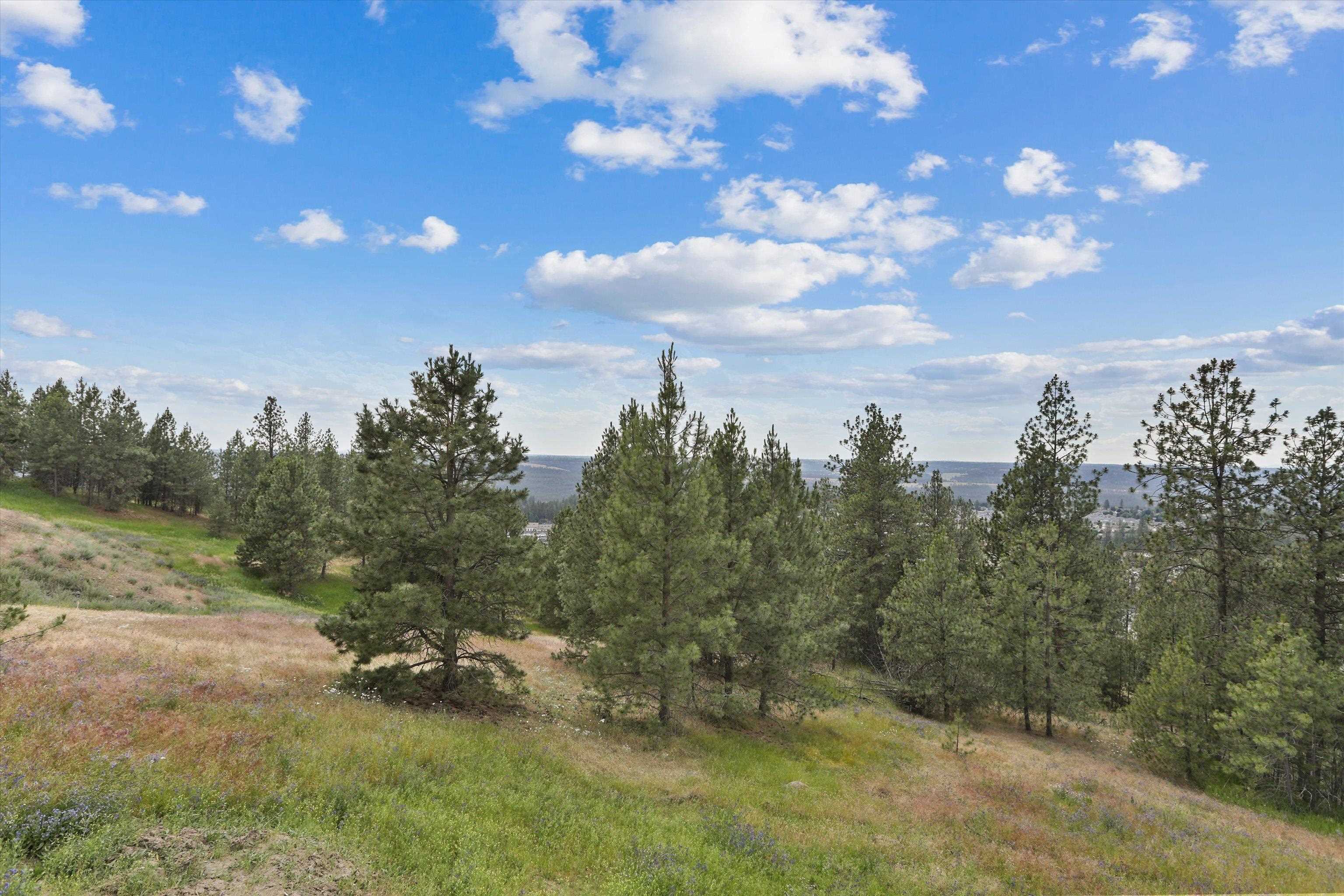 8905 North Rustle Road Spokane, WA 99208 - Photo 20 of 45