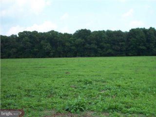 L:40 Centerton Road Pittsgrove, NJ 08318 - Photo 1 of 3 a view of garden with trees