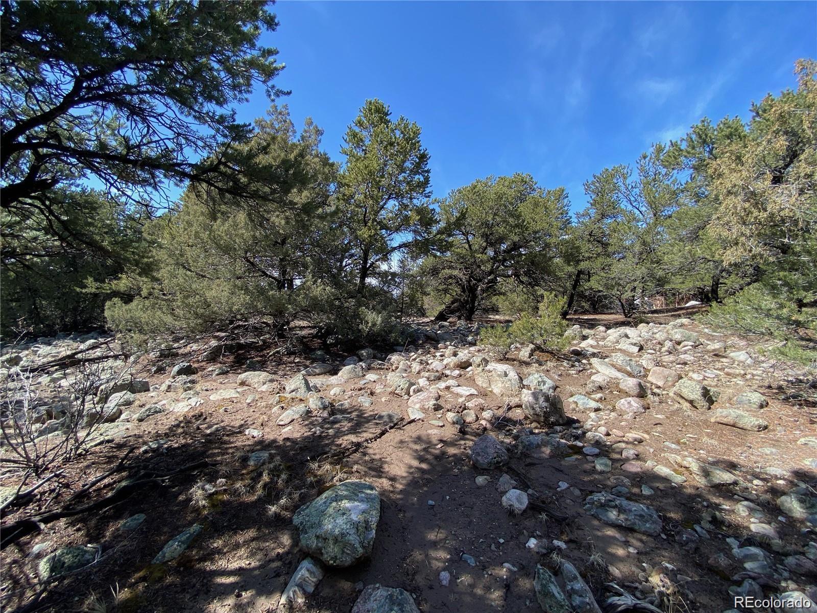 4233 Tranquil Way Crestone, CO 81131 - Photo 5 of 7