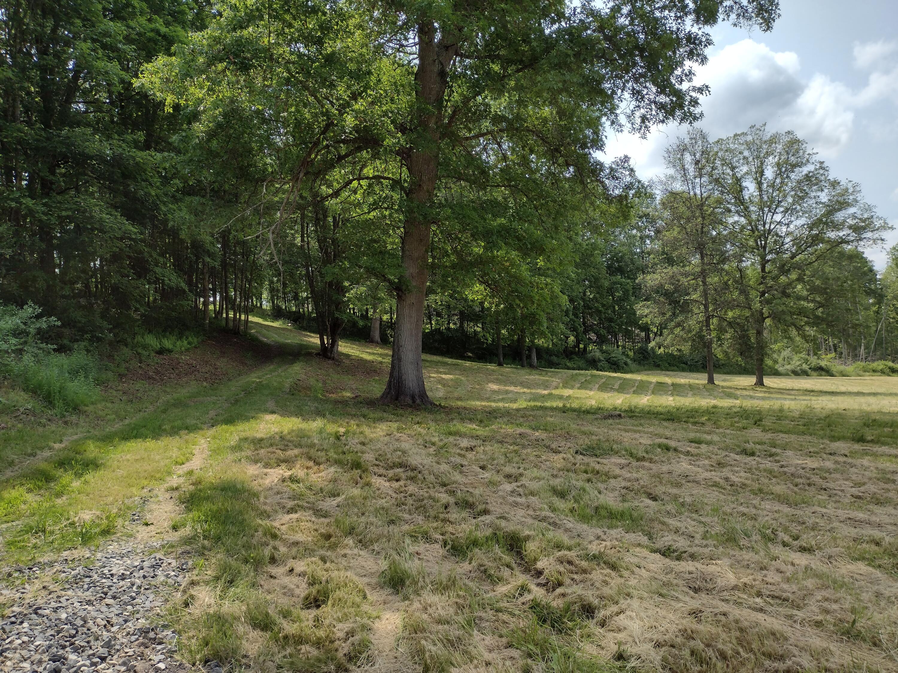460 Garner Road Frankford, WV 24938 - Photo 61 of 67 Gallery Image 61