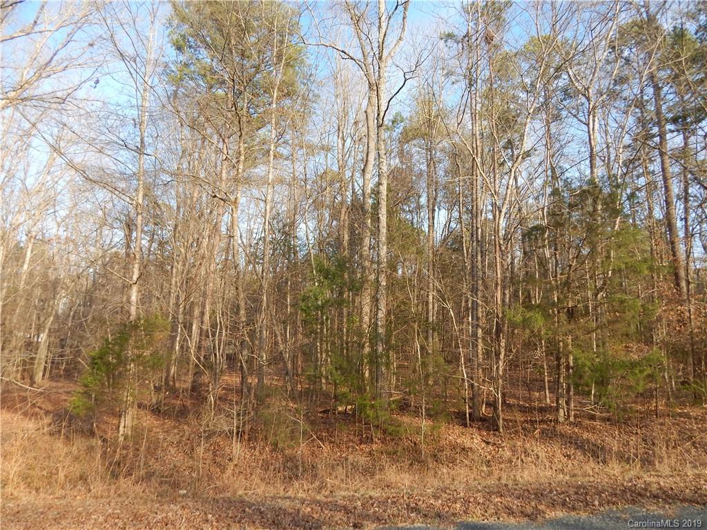 4930 Tinkers Creek Road Edgemoor, SC 29712 - Photo 3 of 11