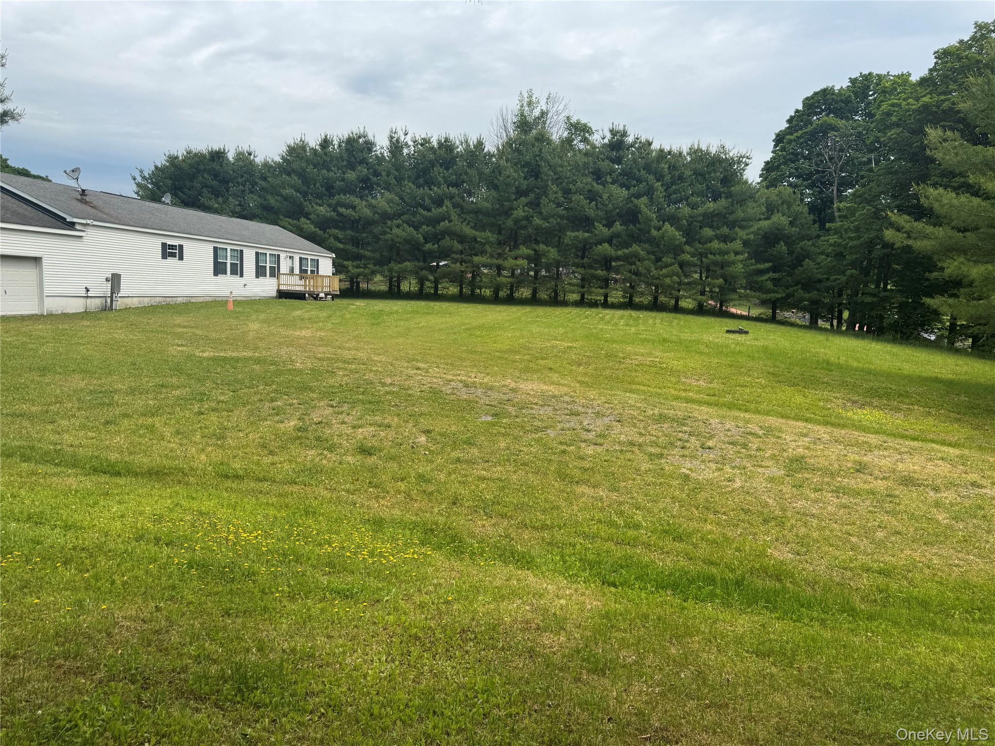 742 Lenape Lake Road Livingston Manor, NY 12758 - Photo 14 of 42