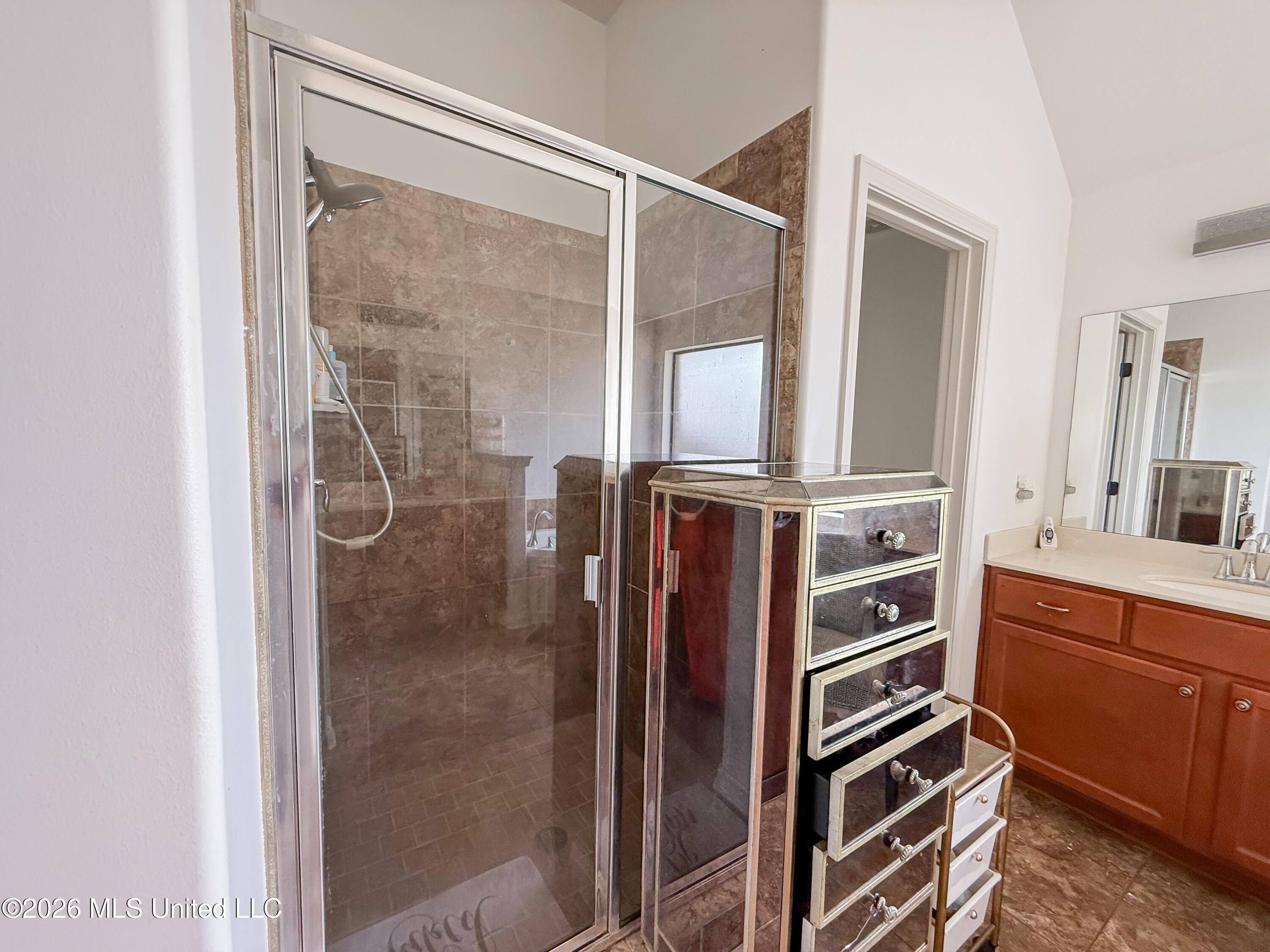 13220 Old Locke Road Olive Branch, MS 38654 - Photo 39 of 40 primaryshower