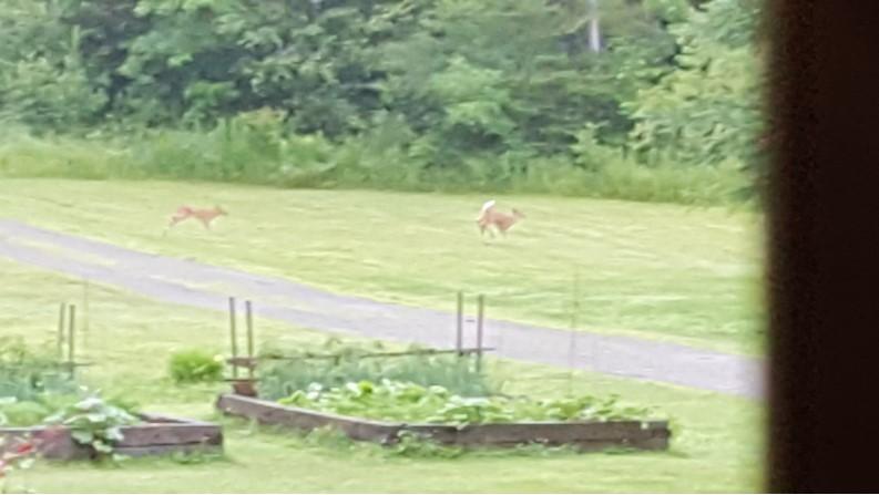 1819 Hudson Road Hudson, ME 04449 - Photo 25 of 25 92206F6170F040D1B7C2F6931BED584C