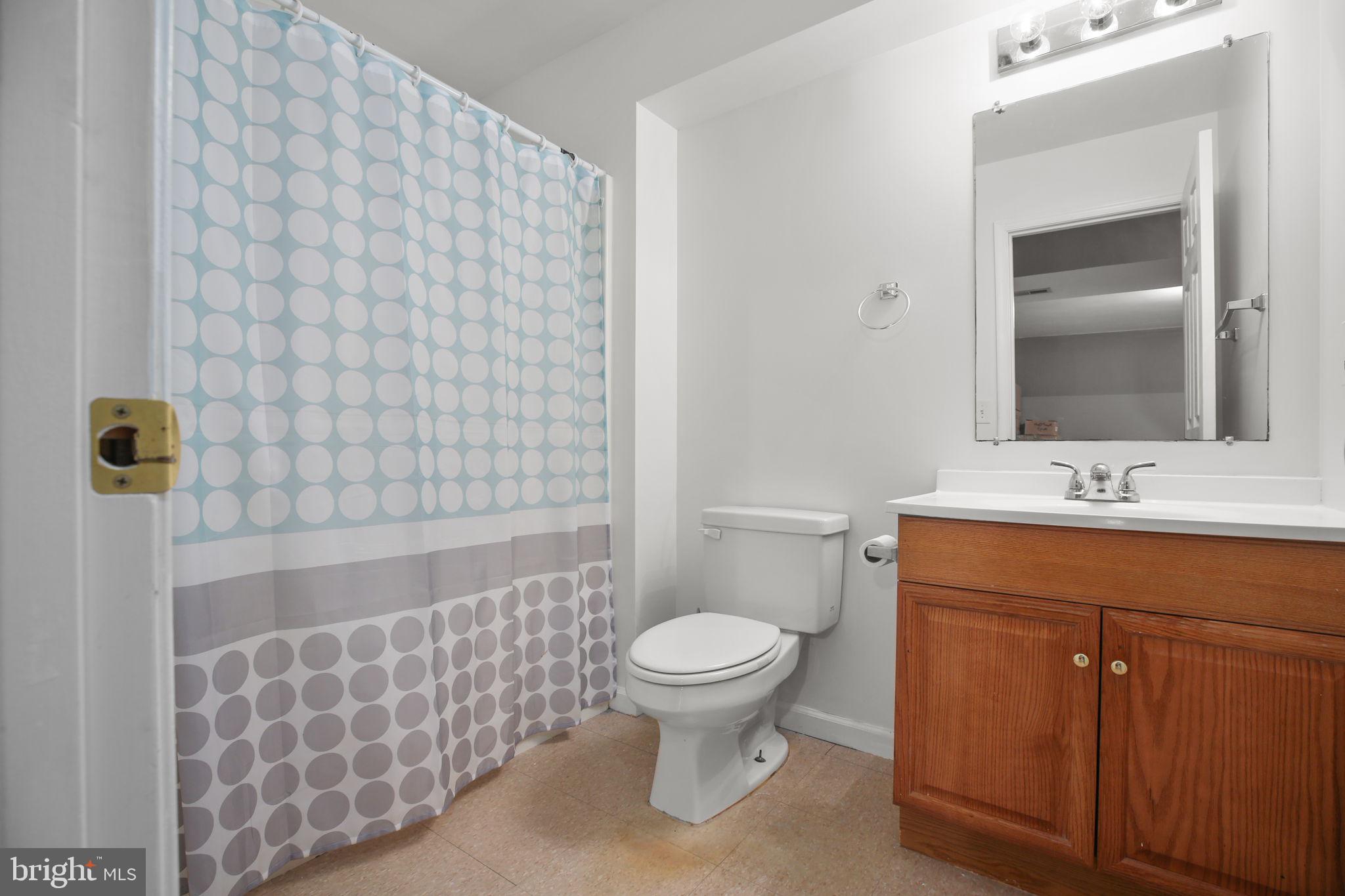 315 Sandy Ridge Road Fredericksburg, VA 22405 - Photo 28 of 42 a bathroom with a sink a toilet and shower